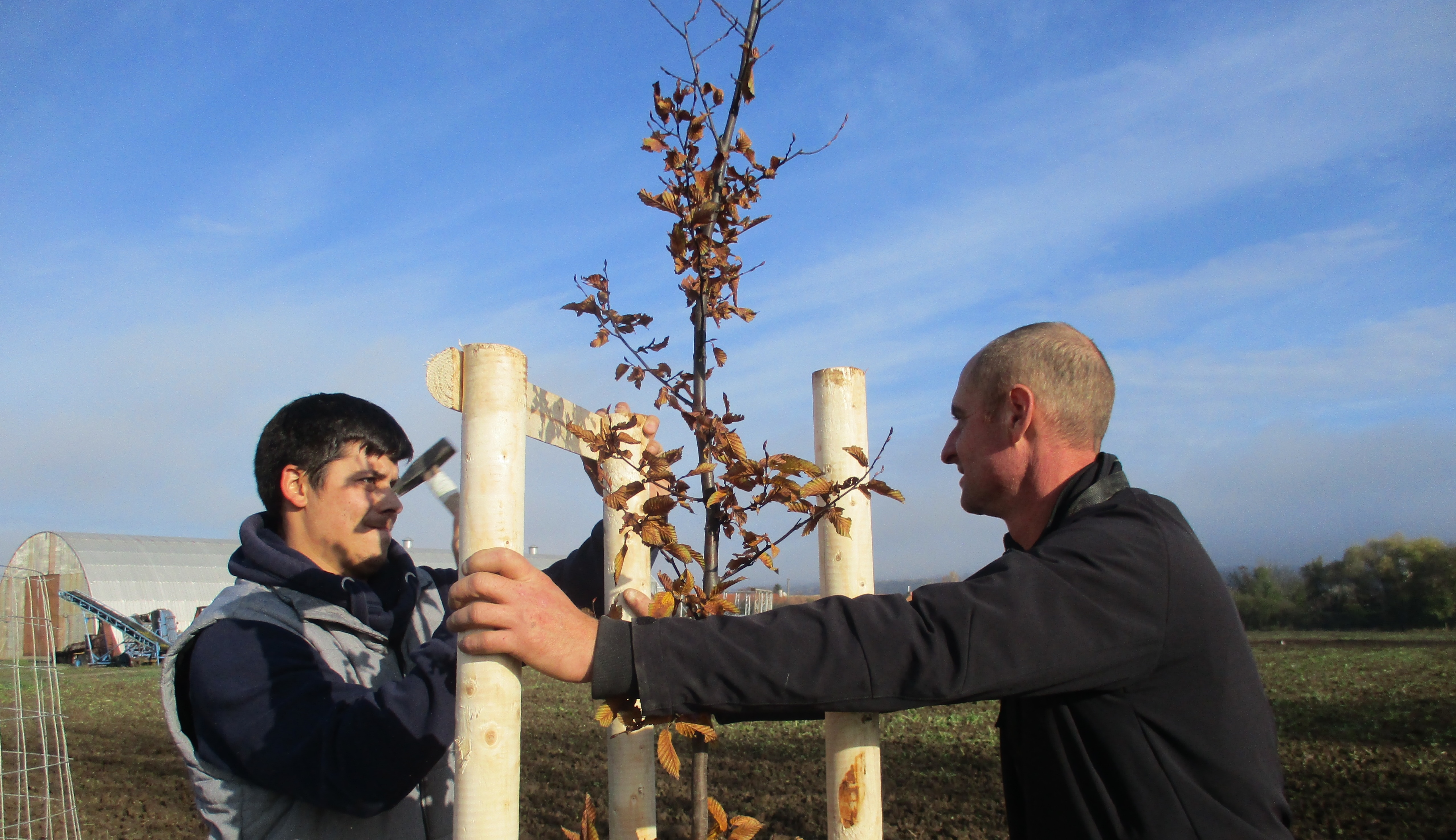 Sázení stromů s úsměvem